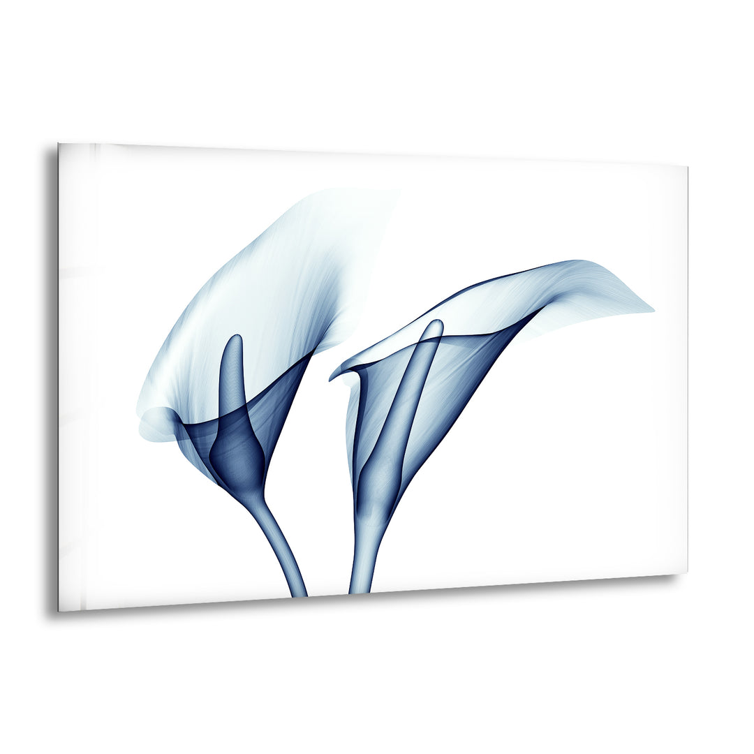 Blue Calla Lilies Glass Wall Art, print on glass, glass printed photos