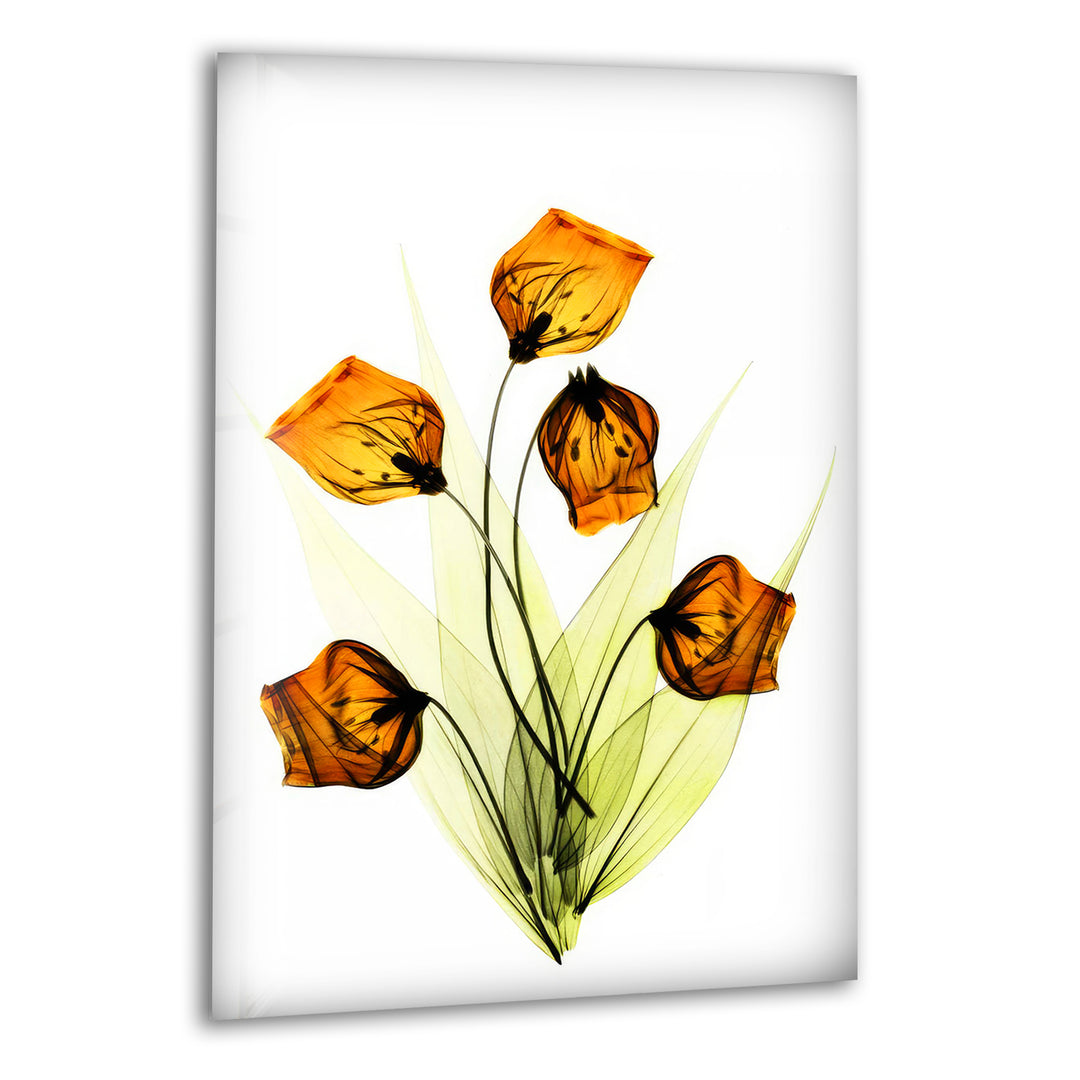 Albert Koetsier Lily of the Valley Glass Wall Art, print picture on glass, Tempered Glass Wall Art