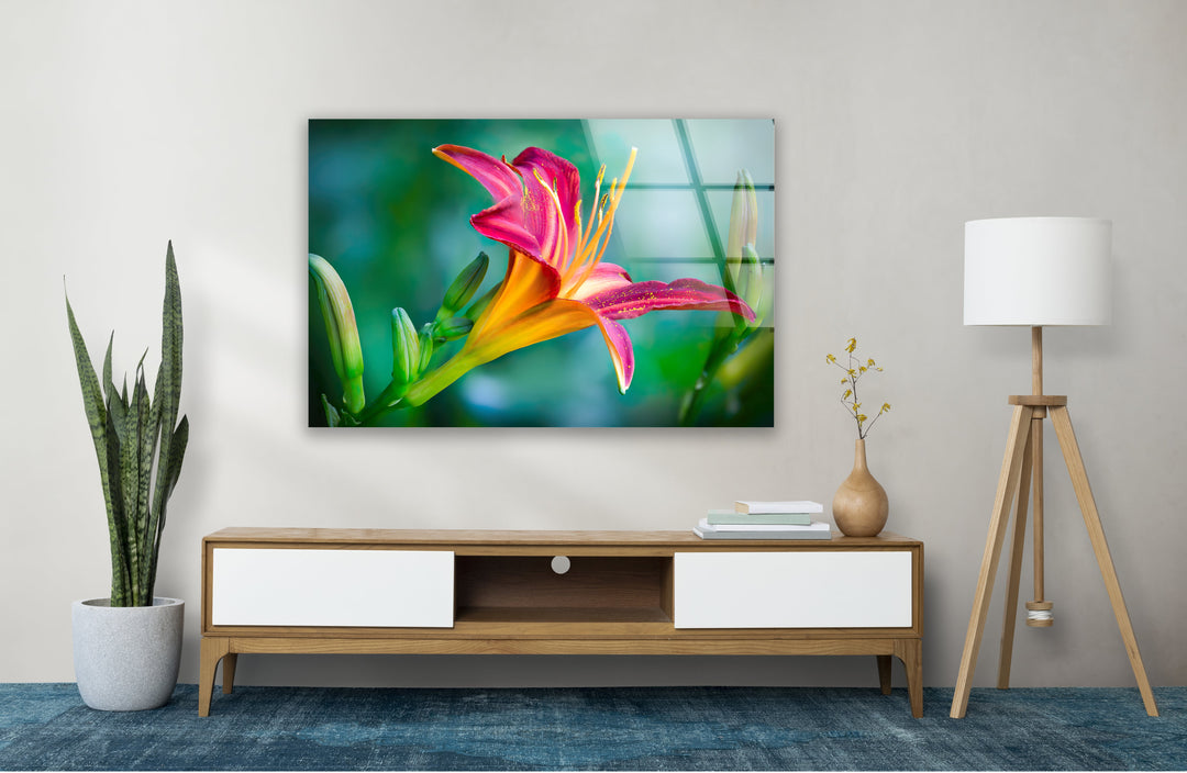 Closeup Pink Lily Glass Wall Art, glass photo prints, glass picture prints