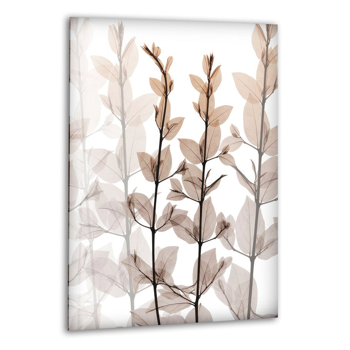 Albert Koetsier Dry Embrace 1 Glass Wall Art, print picture on glass, Tempered Glass Wall Art