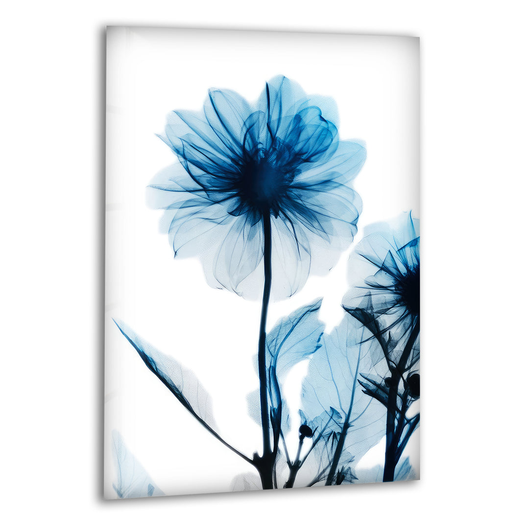 Albert Koetsier Sapphire Gleam II Glass Wall Art, print picture on glass, Tempered Glass Wall Art