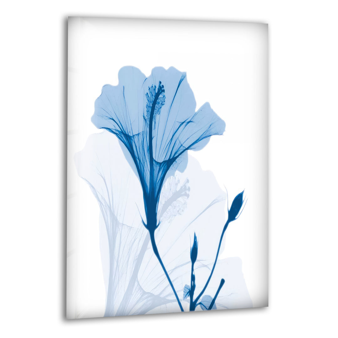 Albert Koetsier Hibiscus Chiller Glass Wall Art, print picture on glass, Tempered Glass Wall Art