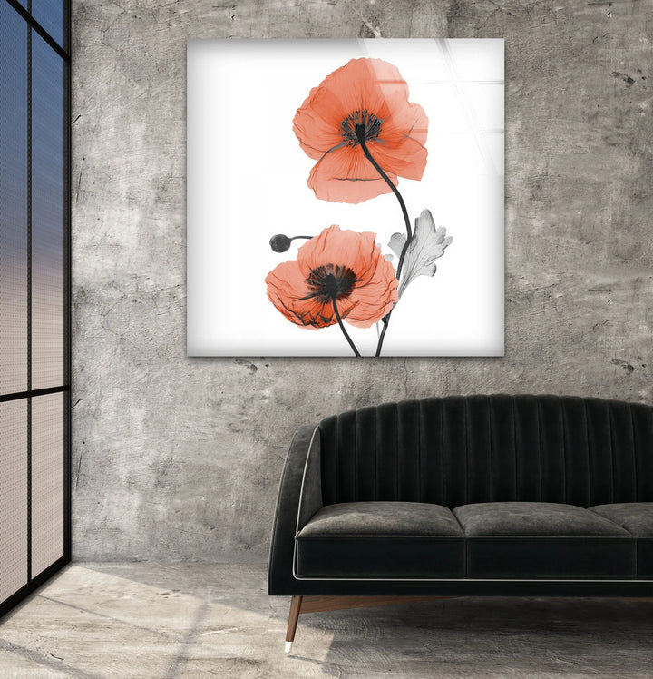 Albert Koetsier Red Soft Poppy Glass Wall Art, glass pictures for Wall, glass prints wall art