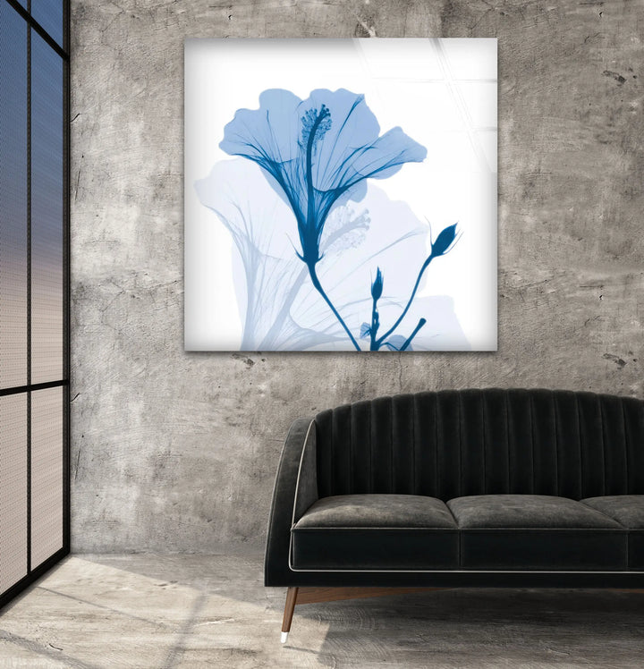 Albert Koetsier Hibiscus Chiller Glass Wall Art, glass photo prints, glass picture prints