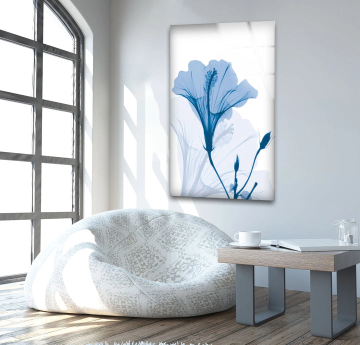 Albert Koetsier Hibiscus Chiller Glass Wall Art, photo print on glass, prints on glass wall art