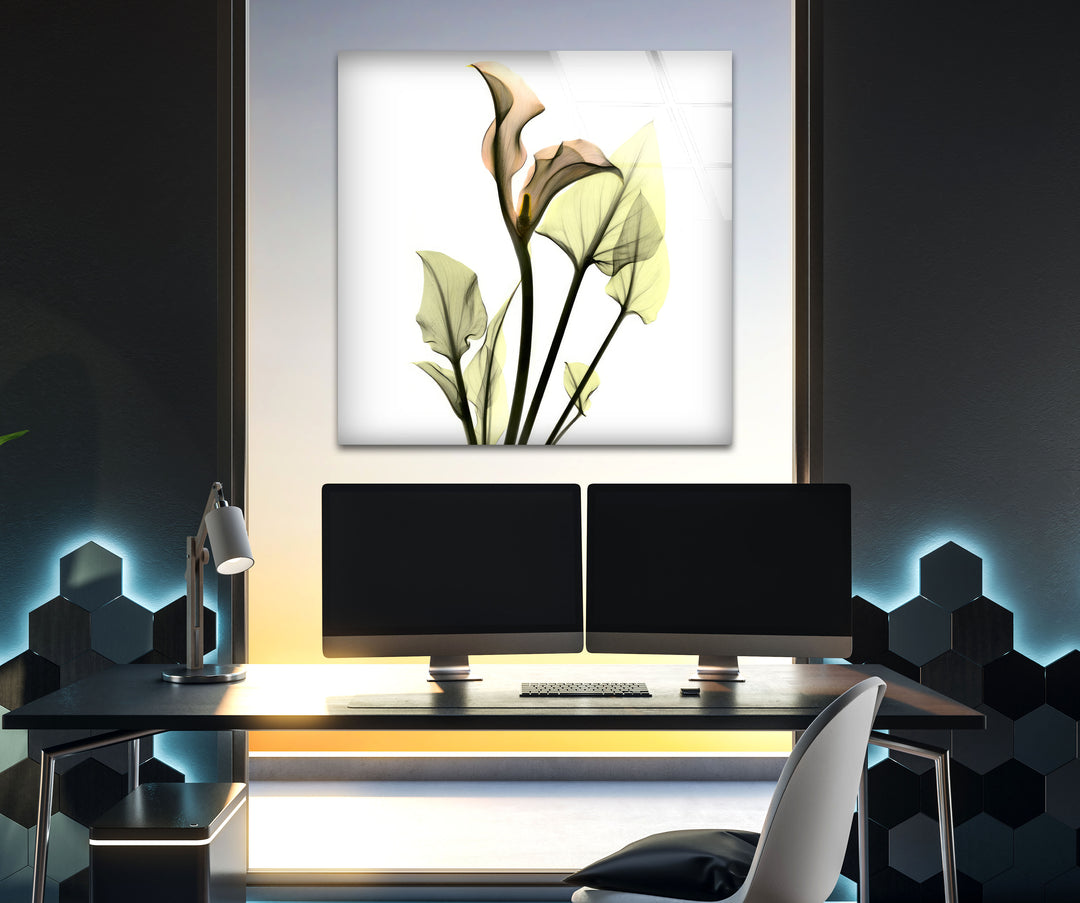 Albert Koetsier Xray Calla Lily Glass Wall Art, glass image printing, glass prints from photos