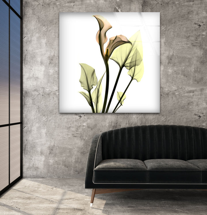 Albert Koetsier Xray Calla Lily Glass Wall Art, custom glass pictures, glass art prints