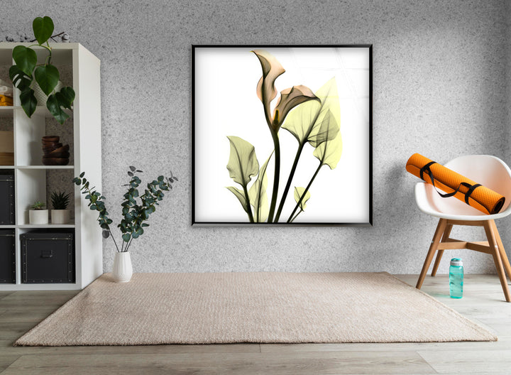 Albert Koetsier Xray Calla Lily Glass Wall Art, glass pictures for Wall, glass prints wall art