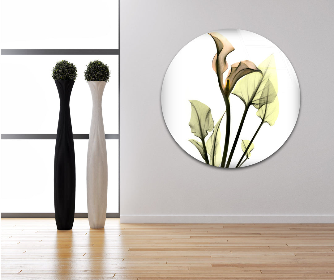 Albert Koetsier Xray Calla Lily Glass Wall Art, photo print on glass, prints on glass wall art