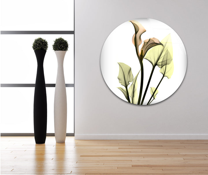 Albert Koetsier Xray Calla Lily Glass Wall Art, photo print on glass, prints on glass wall art