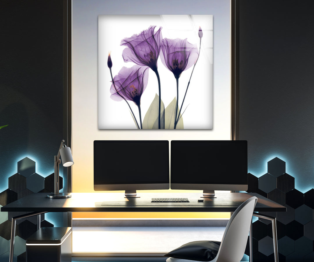 Albert Koetsier Purple Xray Tulips Glass Wall Art, glass pictures for Wall, glass prints wall art