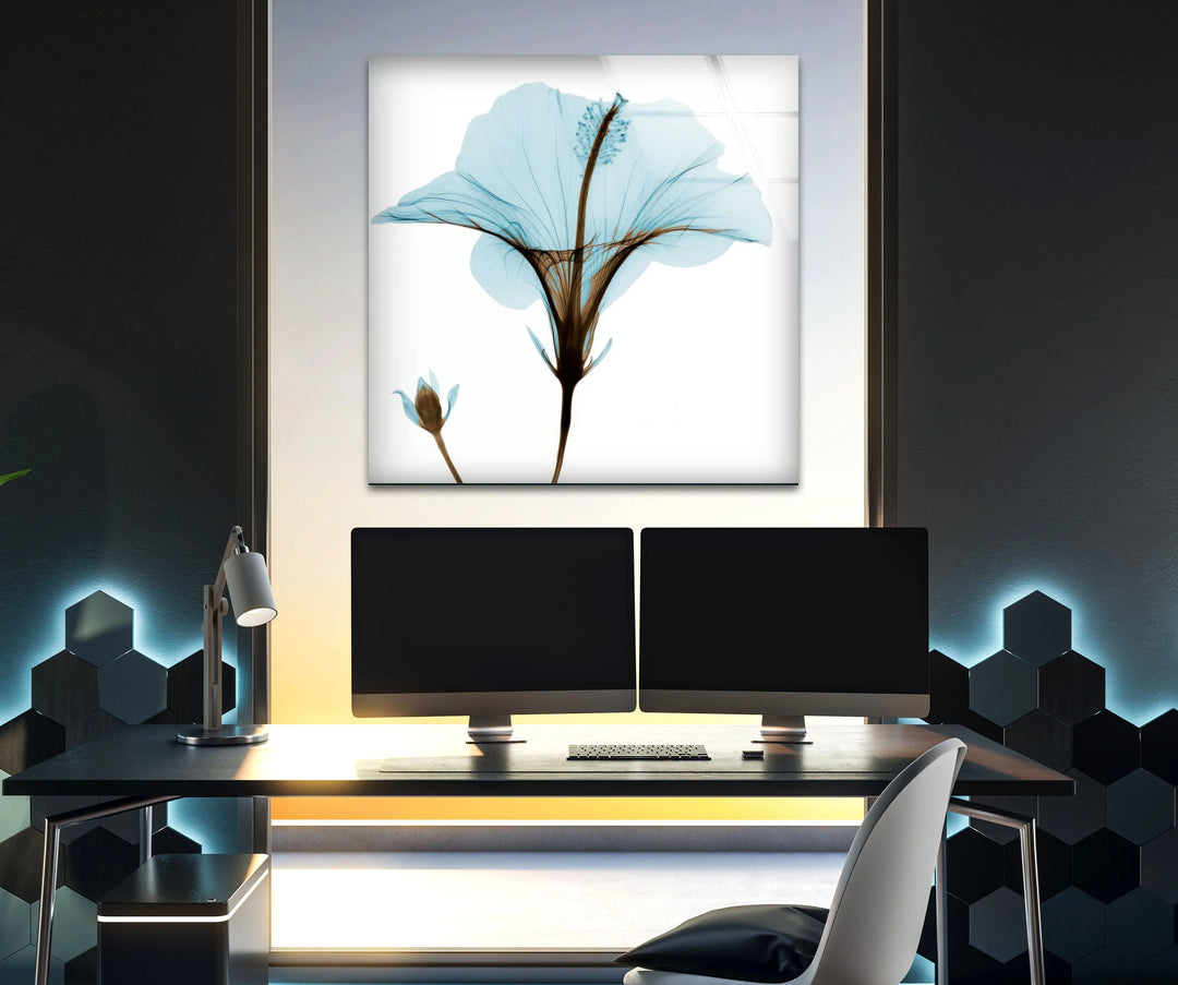 Albert Koetsier Aqua Hibiscus Glass Wall Art, large glass photo prints, glass wall photos