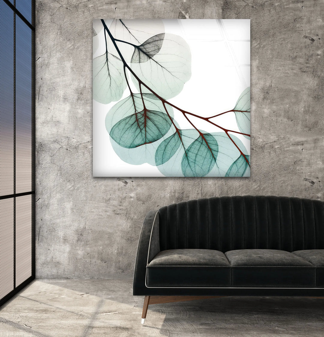 Albert Koetsier Xray Eucalyptus Glass Wall Art, glass pictures for Wall, glass prints wall art