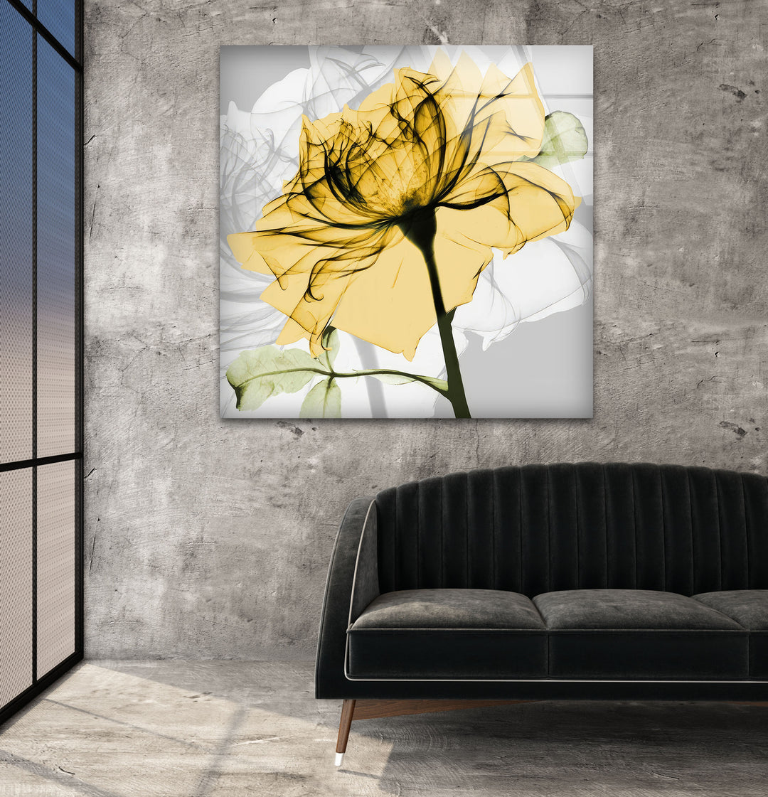 Albert Koetsier Yellow Rose Glass Wall Art, glass photo prints, glass picture prints