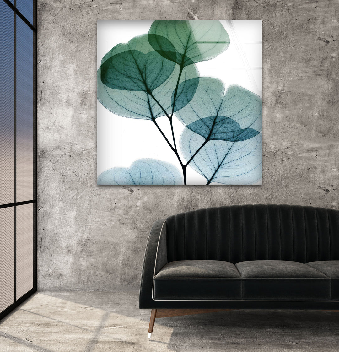 Albert Koetsier Dull Eucalyptus Mate Glass Wall Art, Glass Printing Wall Art, Print photos on glass