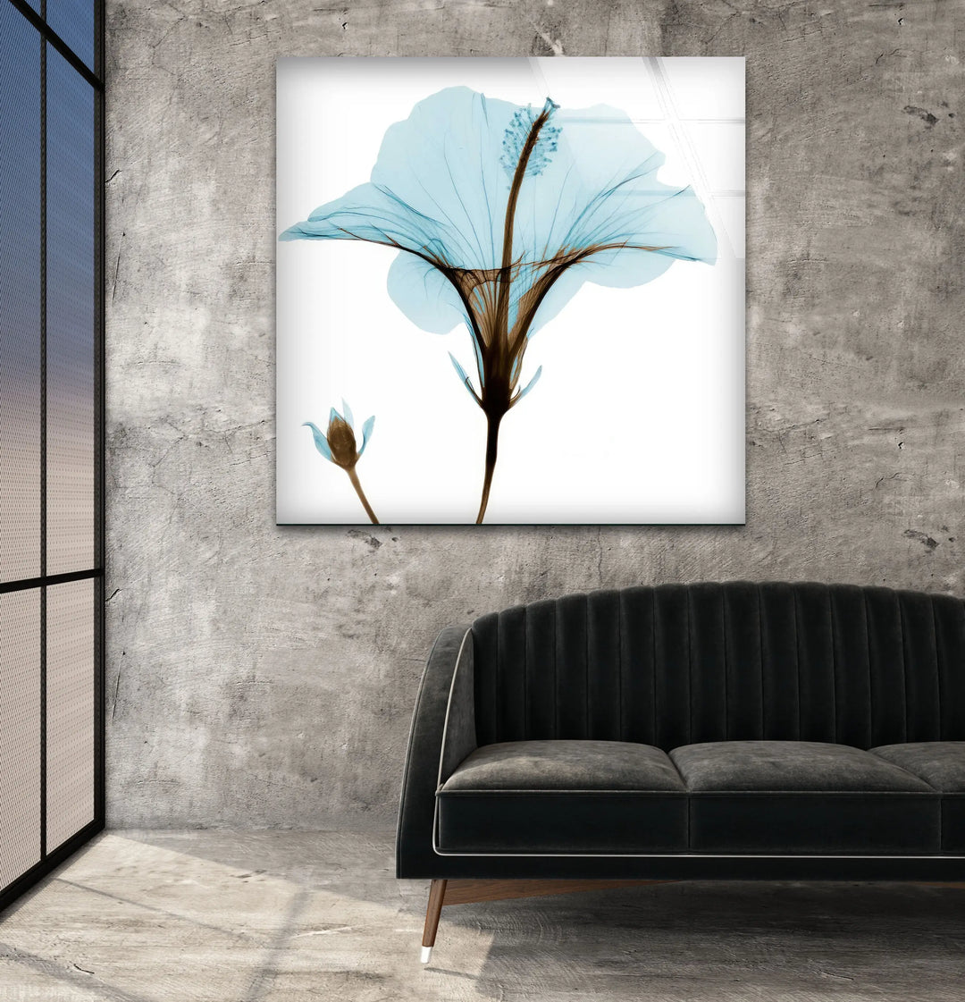 Albert Koetsier Aqua Hibiscus Glass Wall Art, custom glass pictures, glass art prints