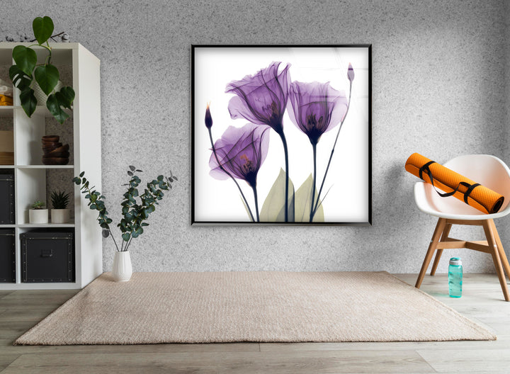 Albert Koetsier Purple Xray Tulips Glass Wall Art, glass image printing, glass prints from photos