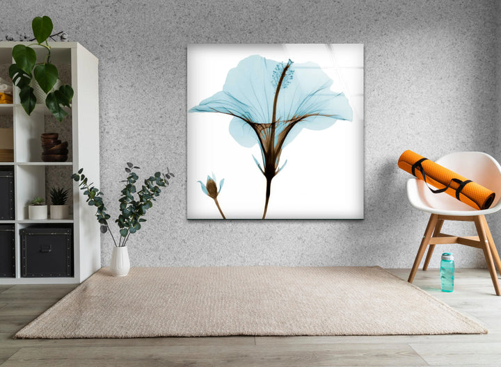 Albert Koetsier Aqua Hibiscus Glass Wall Art, photo print on glass, prints on glass wall art