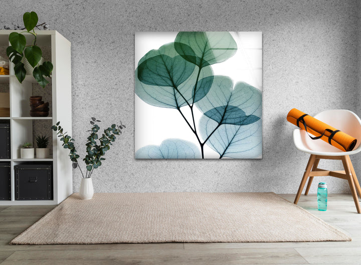 Albert Koetsier Dull Eucalyptus Mate Glass Wall Art, glass photo prints, glass picture prints