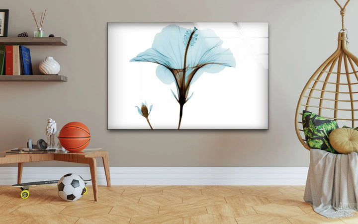 Albert Koetsier Aqua Hibiscus Glass Wall Art, glass photo prints, glass picture prints