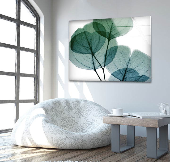 Albert Koetsier Dull Eucalyptus Mate Glass Wall Art, large glass photo prints, glass wall photos