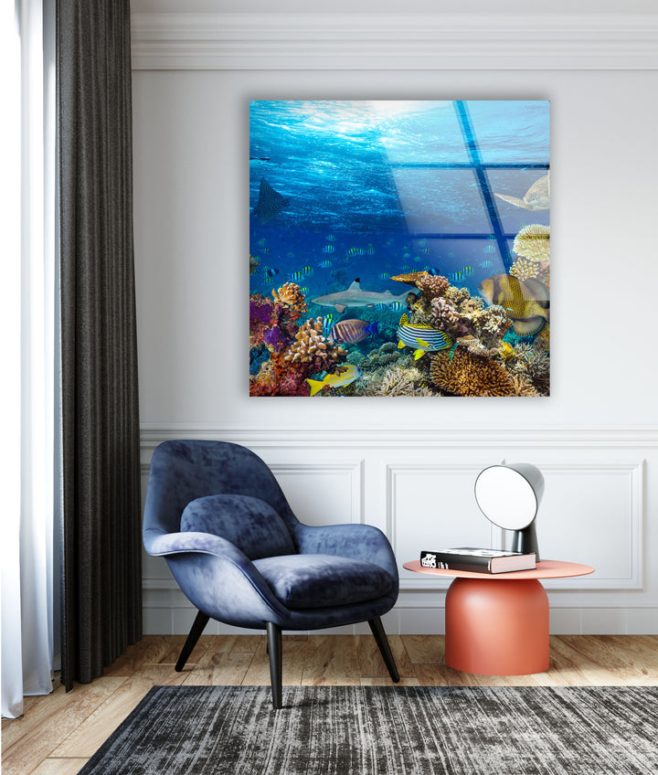 Tropic Under Ocean Glass Wall Art custom glass pictures, glass art prints