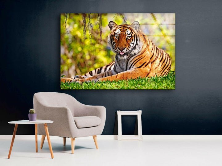 A Tiger on The Grass Glass Wall Art glass image printing, glass prints from photos