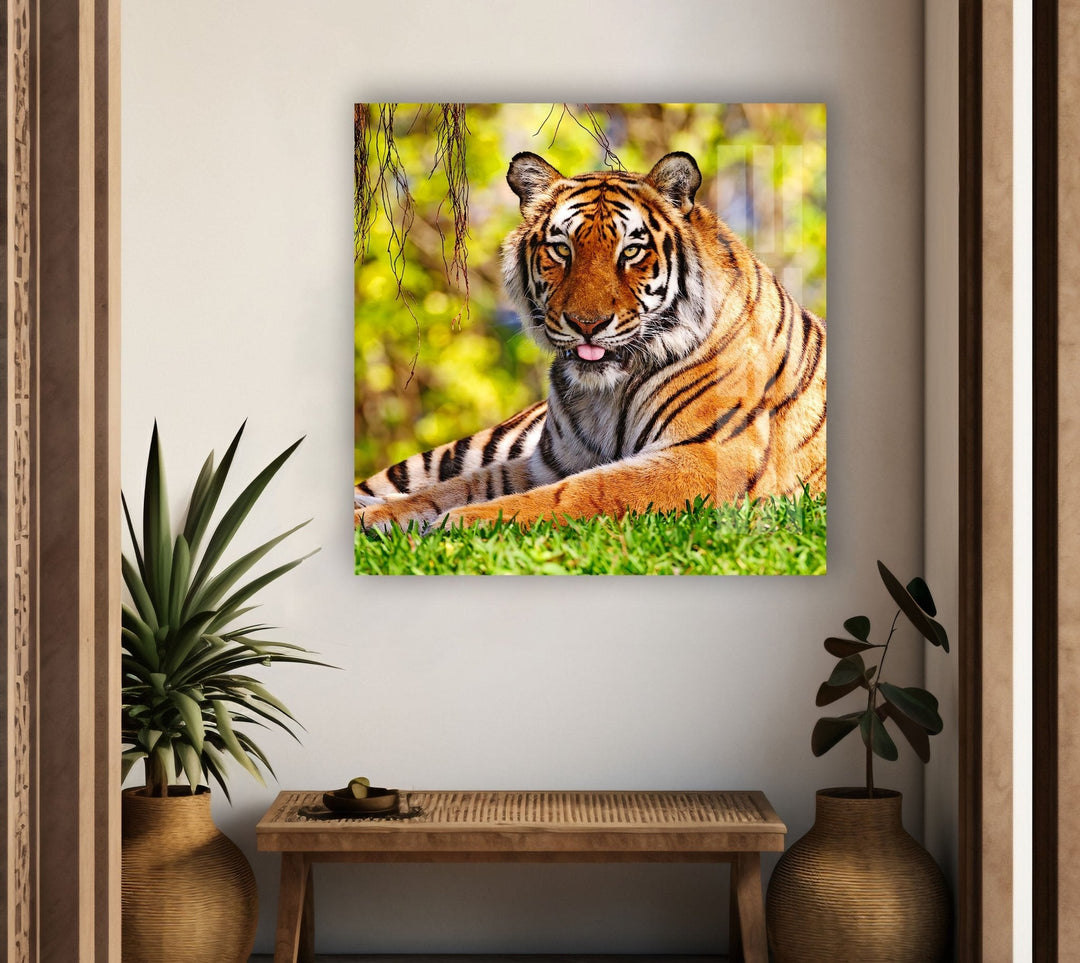 A Tiger on The Grass Glass Wall Art Glass Printing Wall Art, Print photos on glass