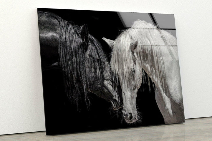 Africa Couple Horse Wall Art large glass photo prints, glass wall photos