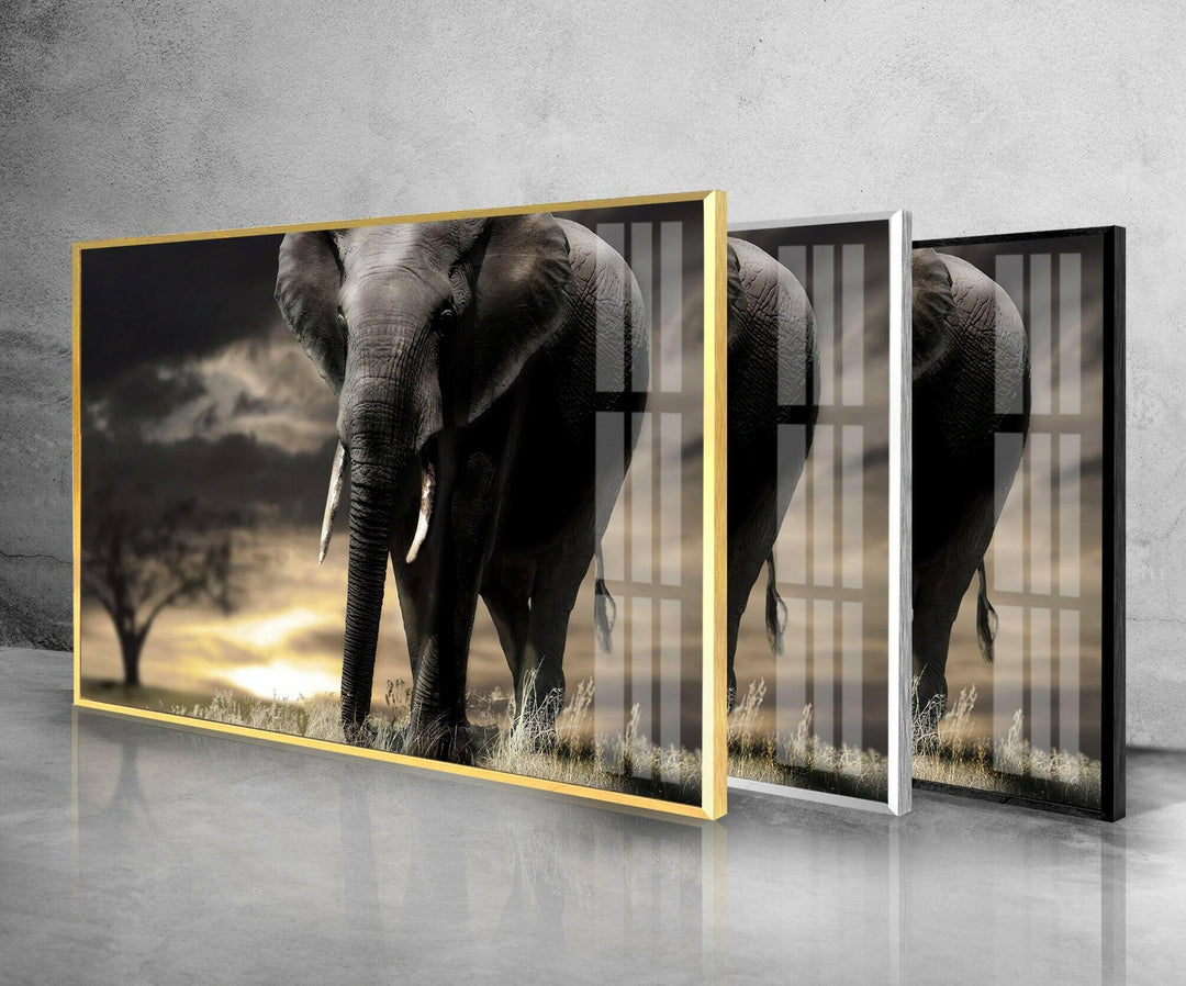 African Old Elephant Glass Wall Art glass photo prints, glass picture prints