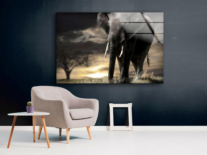 African Old Elephant Glass Wall Art Glass Printing Wall Art, Print photos on glass