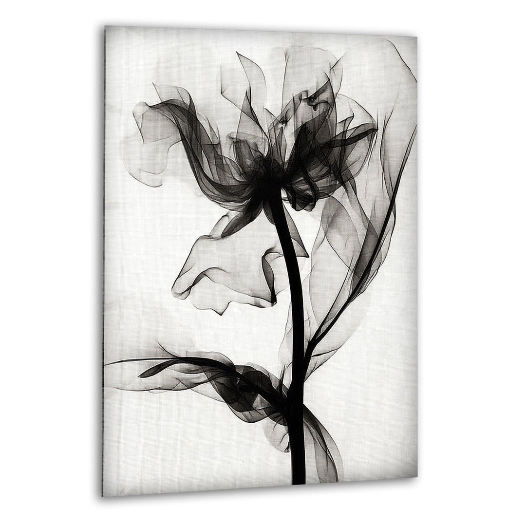 Albert Koetsier Black Rose X-ray Glass Wall Art, print picture on glass, Tempered Glass Wall Art