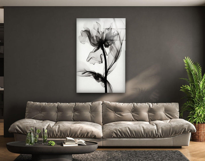 Albert Koetsier Black Rose X-ray Glass Wall Art, photo print on glass, prints on glass wall art