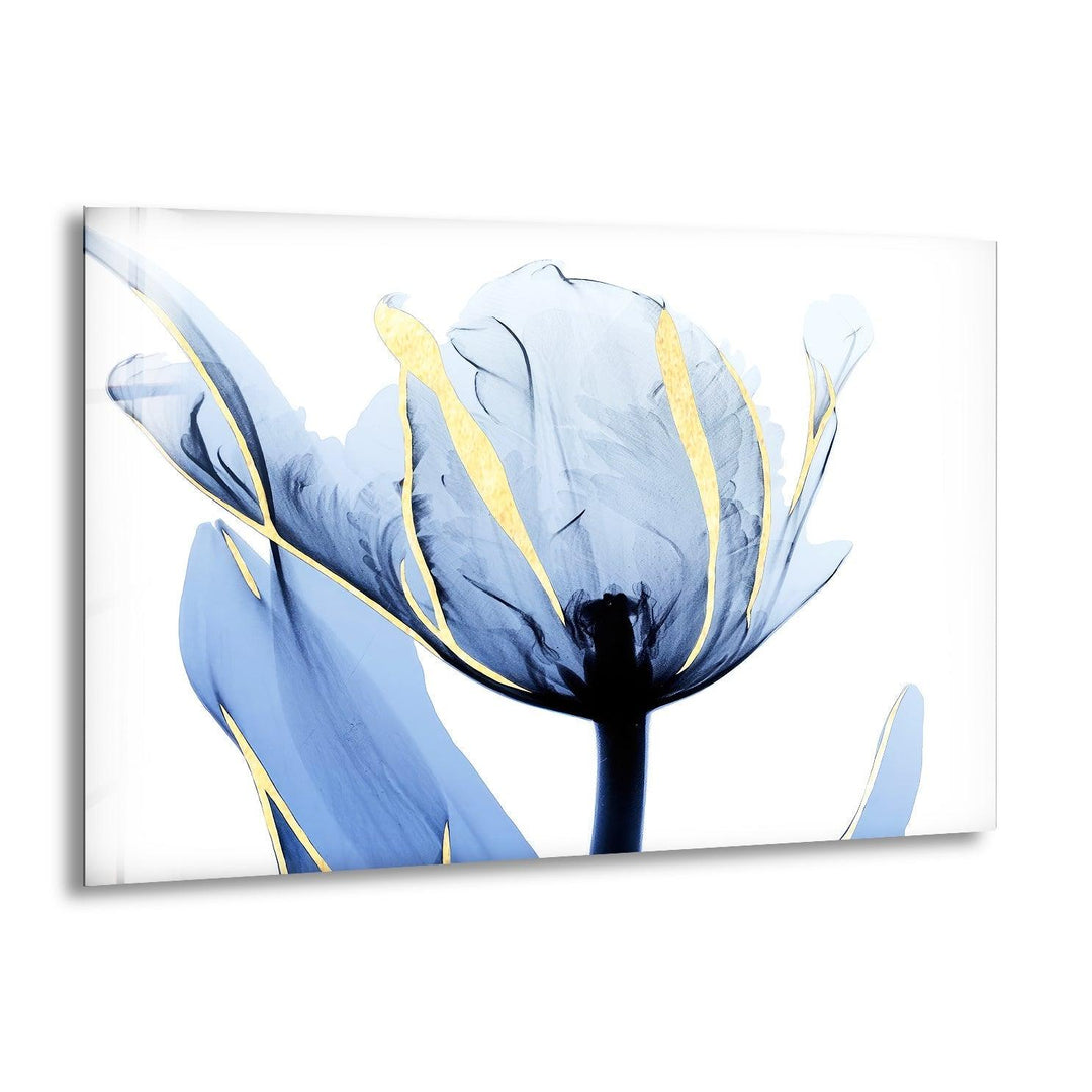 Albert Koetsier Blue Tulip Flower Glass Wall Art, print picture on glass, Tempered Glass Wall Art