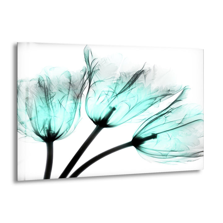 Albert Koetsier Cool Growth Xray Tulip Glass Wall Art, print picture on glass, Tempered Glass Wall Art