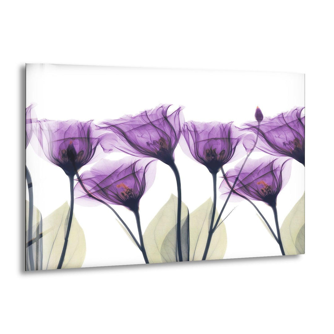 Albert Koetsier Royal Purple Gentian Glass Wall Art, print picture on glass, Tempered Glass Wall Art