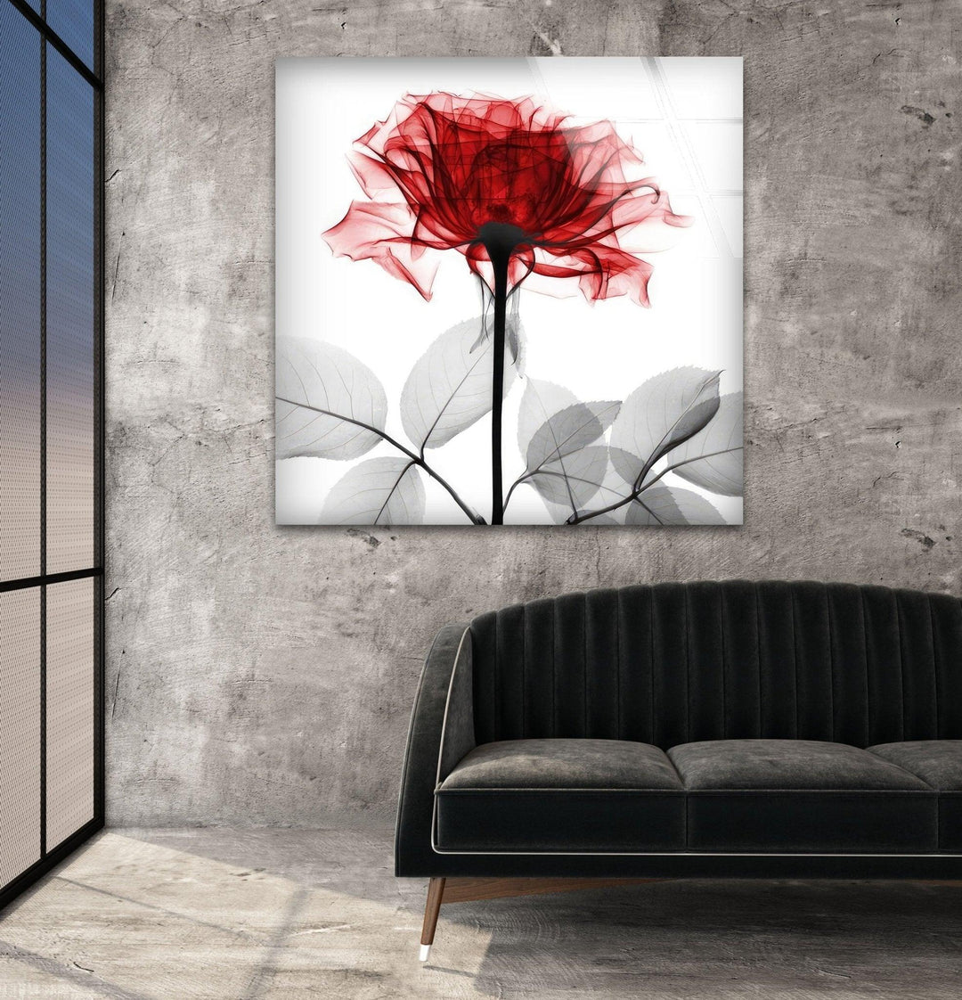 Albert Koetsier Tonal Rose Glass Wall Art, glass pictures for Wall, glass prints wall art