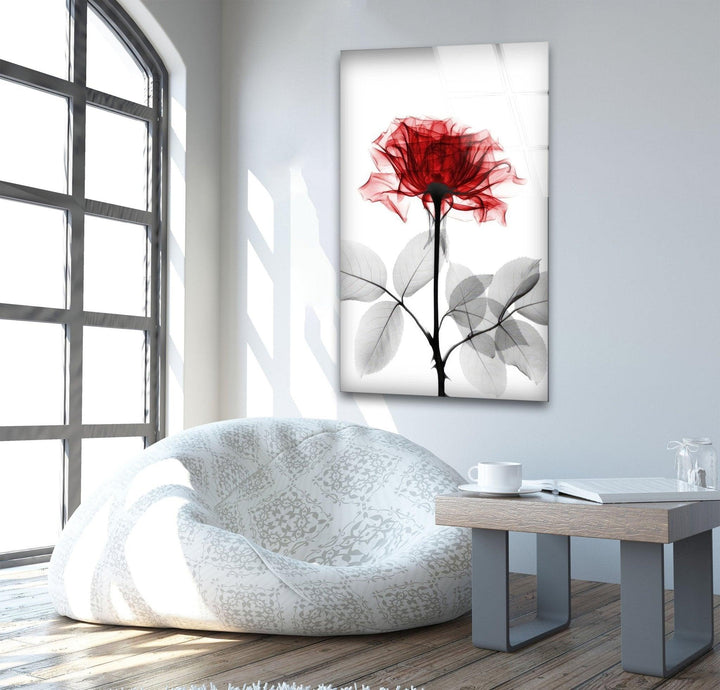 Albert Koetsier Tonal Rose Glass Wall Art, glass photo prints, glass picture prints