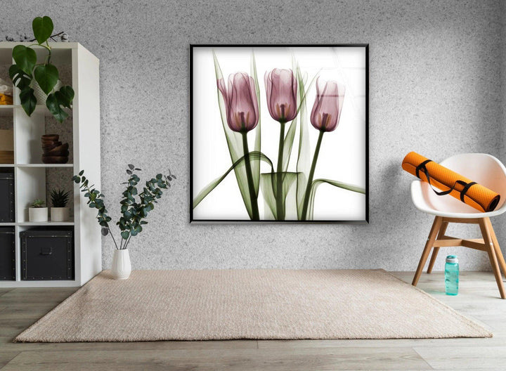 Albert Koetsier Triplet Tulips Glass Wall Art, glass image printing, glass prints from photos