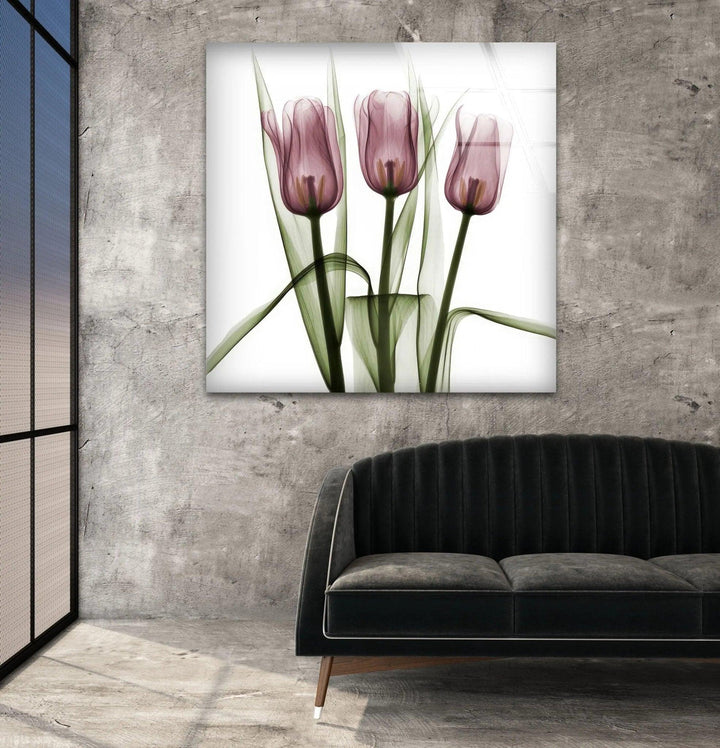 Albert Koetsier Triplet Tulips Glass Wall Art, Glass Printing Wall Art, Print photos on glass