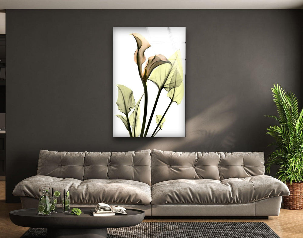 Albert Koetsier Xray Calla Lily Glass Wall Art, picture on glass wall art, photos printed on glass