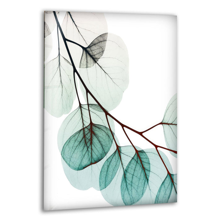 Albert Koetsier Xray Eucalyptus Glass Wall Art, print picture on glass, Tempered Glass Wall Art