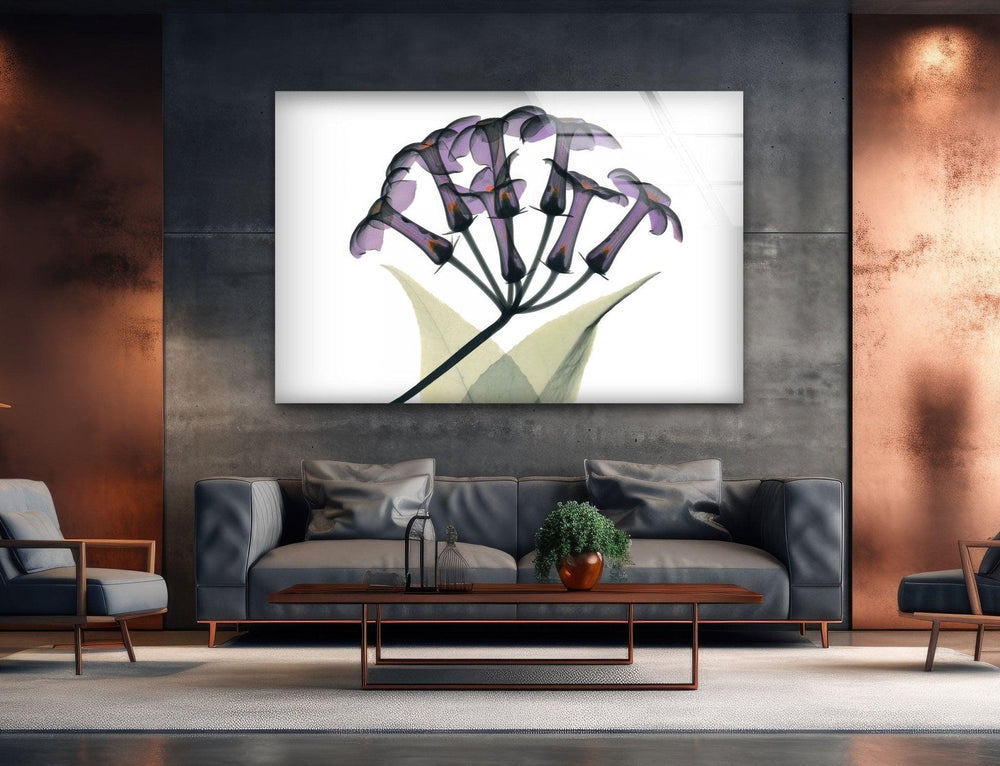 Albert Koetsier Xray Stephanotus Glass Wall Art, glass wall decor, glass wall art decor