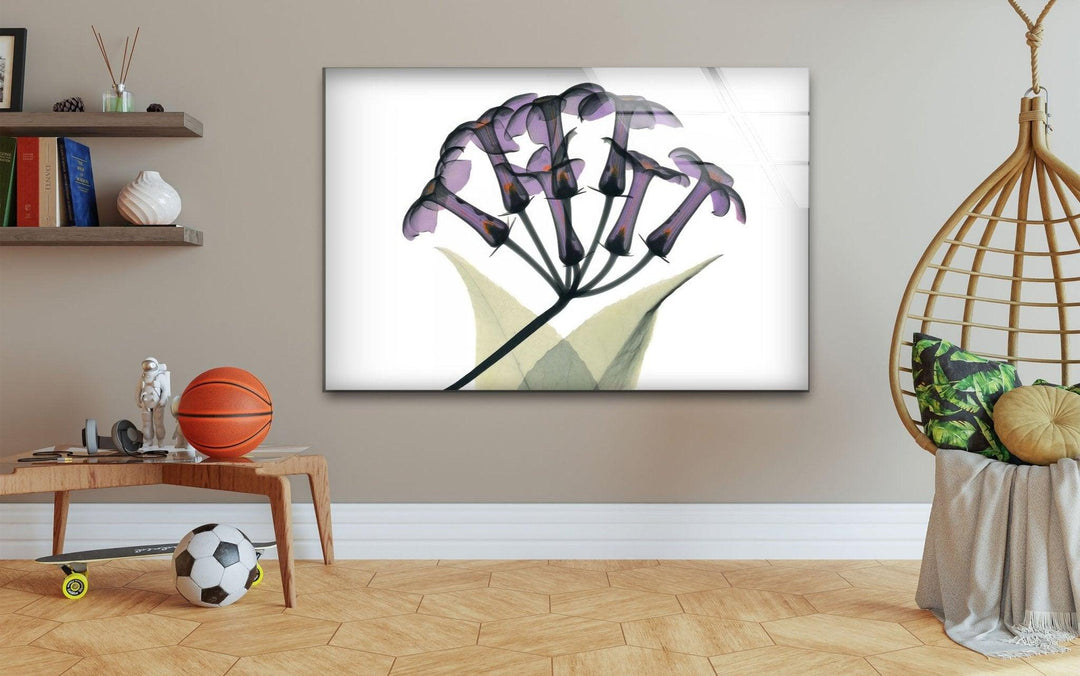 Albert Koetsier Xray Stephanotus Glass Wall Art, custom glass pictures, glass art prints