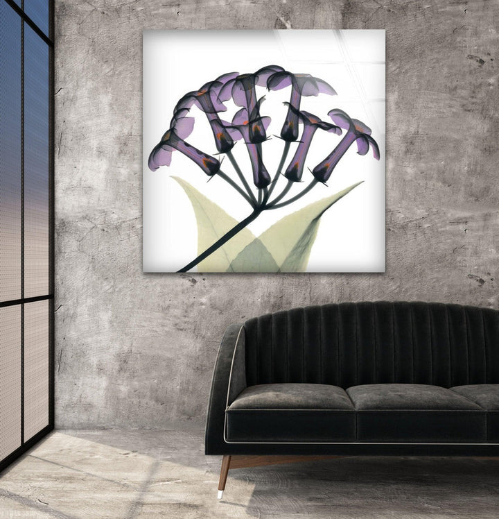 Albert Koetsier Xray Stephanotus Glass Wall Art, art glass wall art, glass wall art pictures