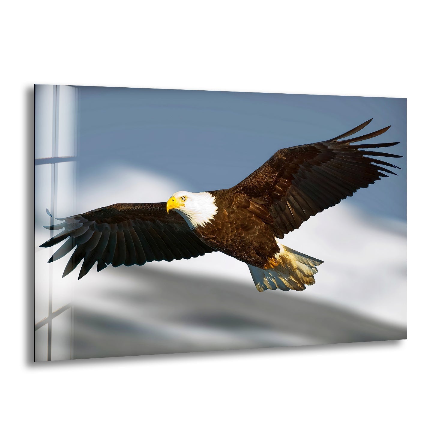 American Eagle Glass Wall Art art glass wall art, glass wall art pictures