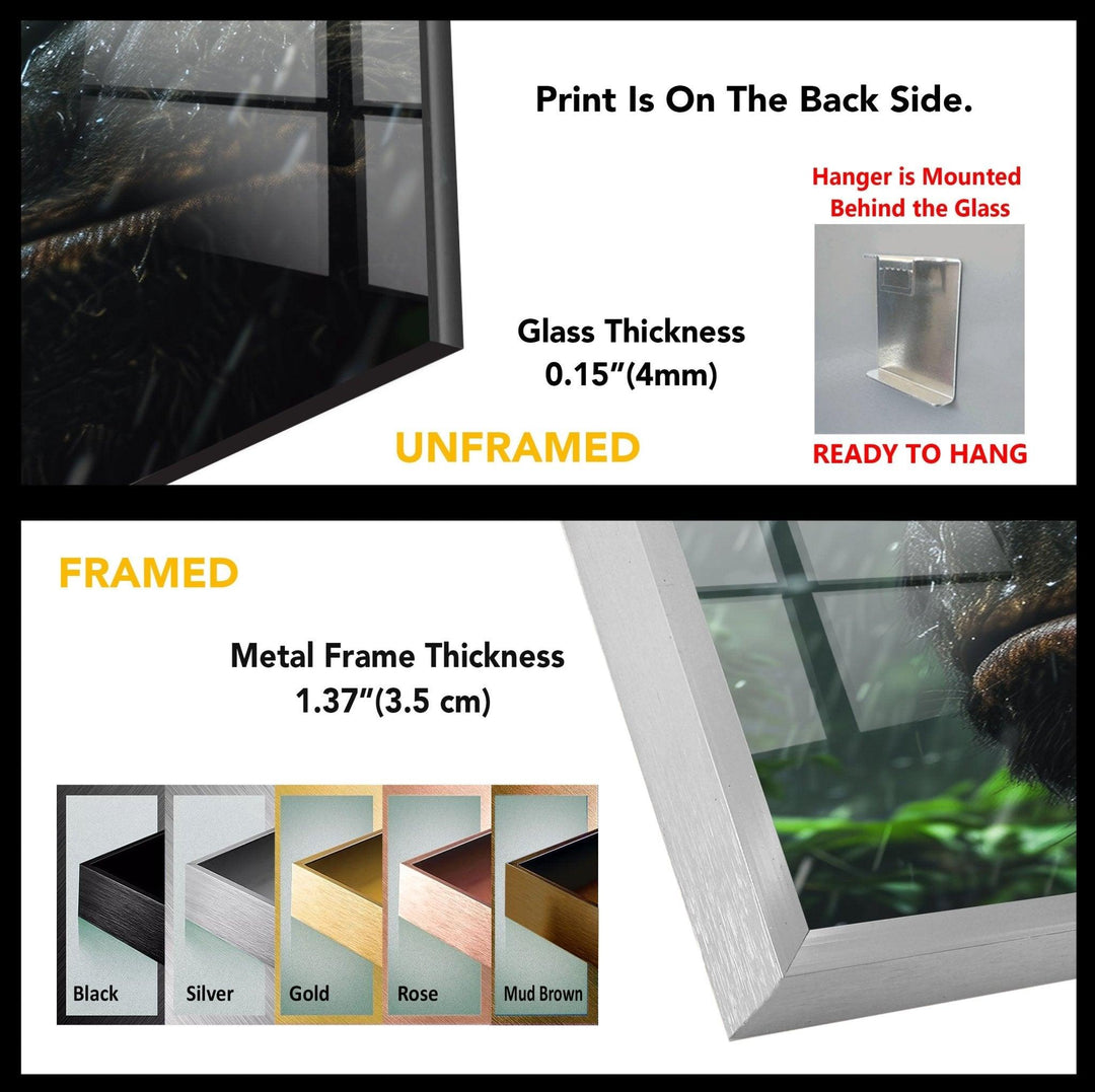 King Kong Tempered Glass Wall Art - MyPhotoStation