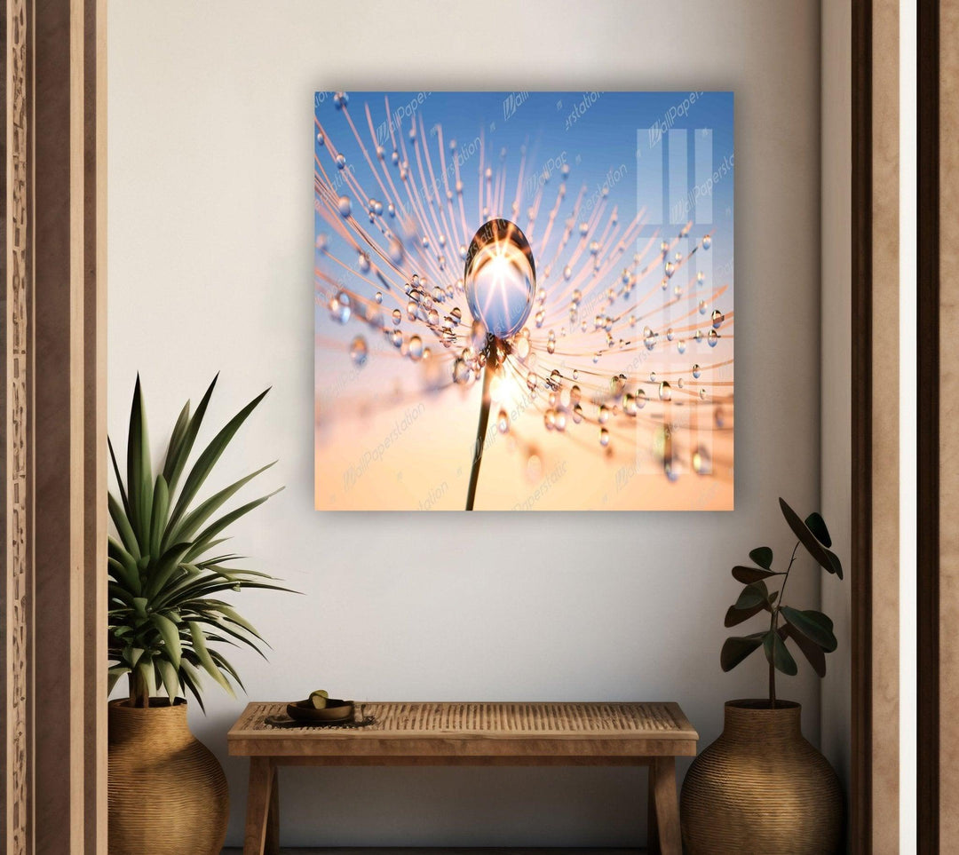 At Sun Drops on Dandelion Glass Wall Art, photo print on glass, prints on glass wall art