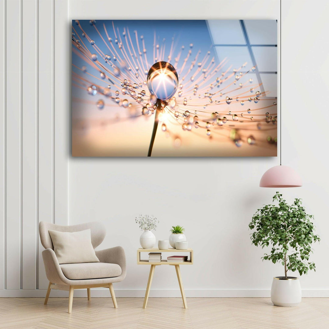 At Sun Drops on Dandelion Glass Wall Art, picture on glass wall art, photos printed on glass