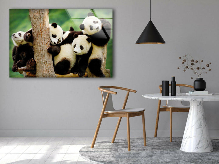 Baby Panda Glass Wall Art glass pictures for Wall, glass prints wall art